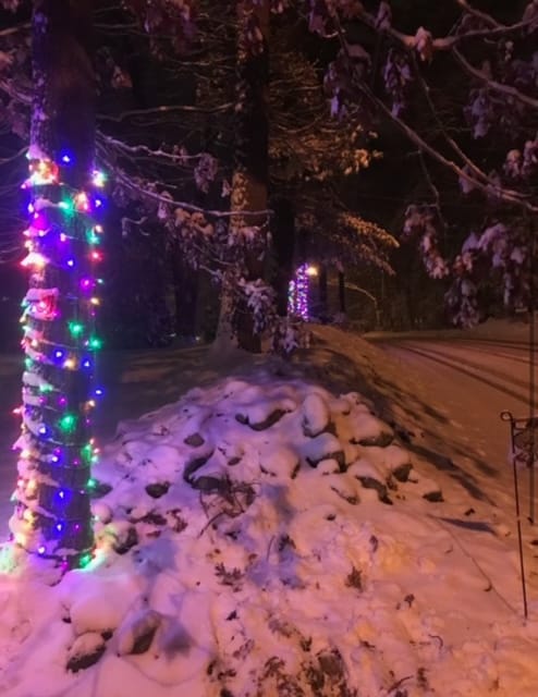 A snow covered street at night lit with strings of colored Christmas lights wrapped around a tree.