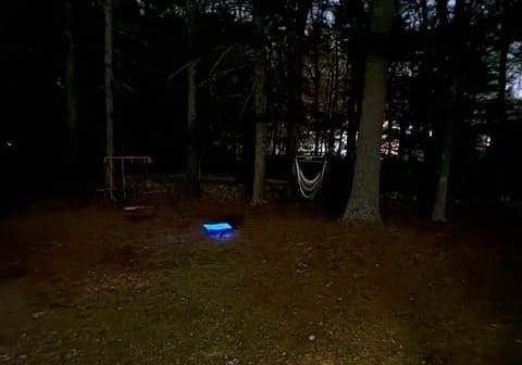 A Black Dog at Night